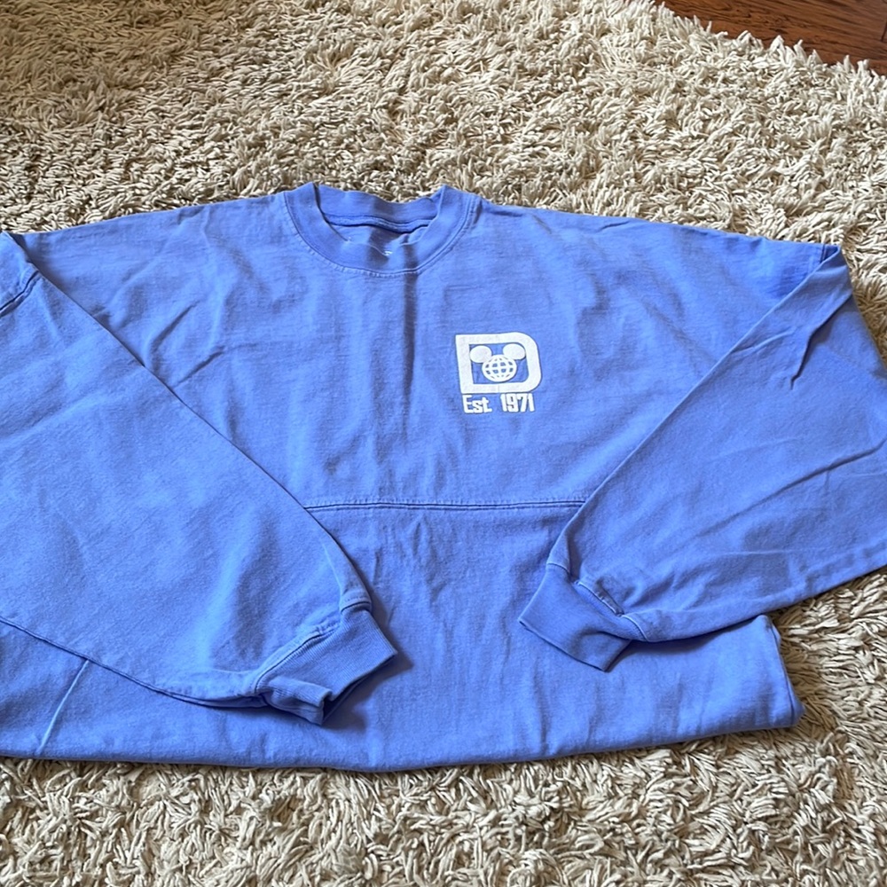 Walt Disney World spirit jersey